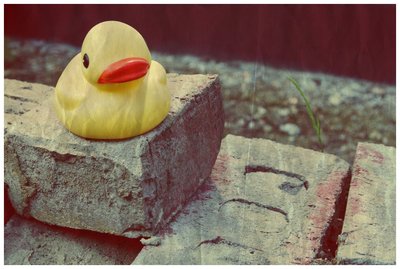 The_Adventures_Of_Duckie_by_karinatheyamslayer.jpg